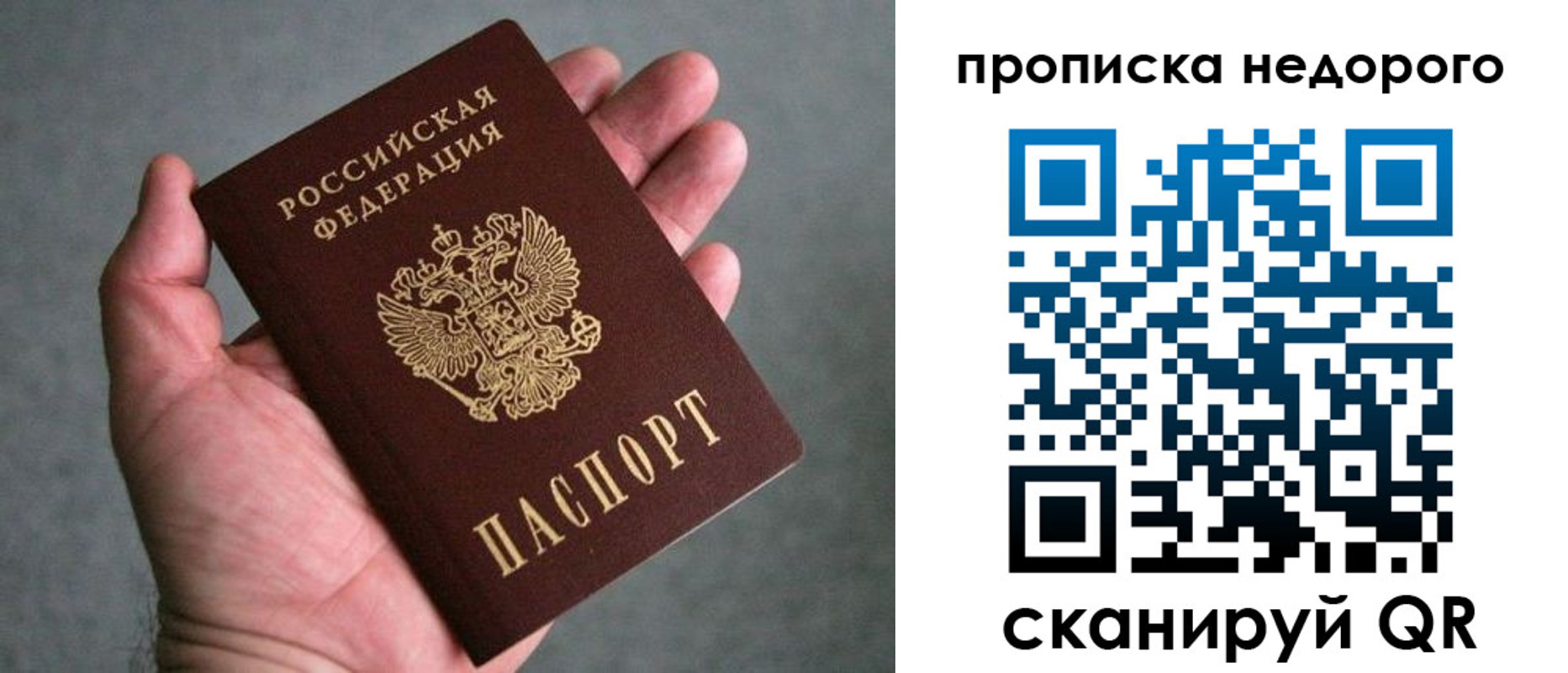 прописка поиск в Почепе
